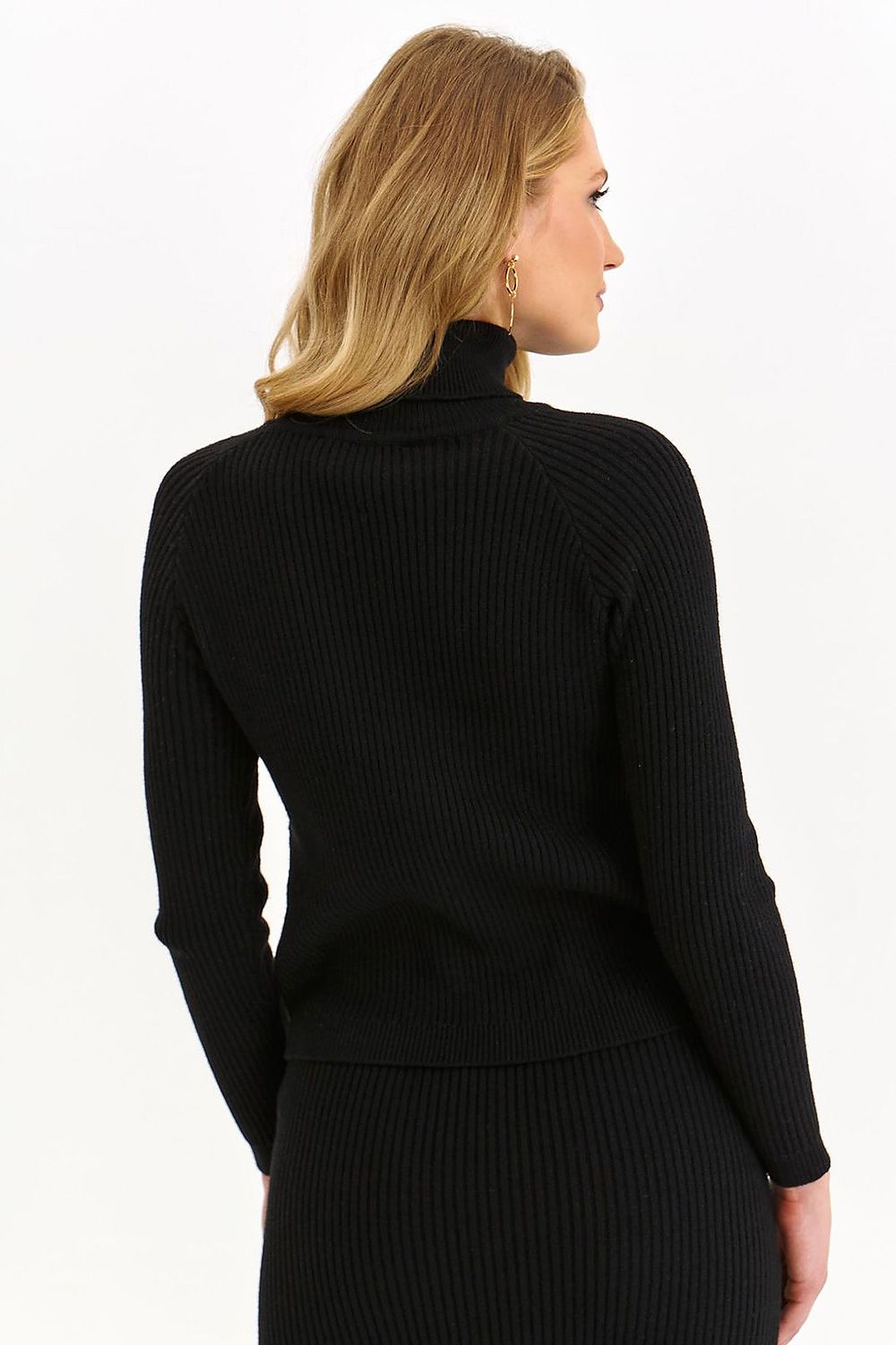 Turtleneck Top Secret