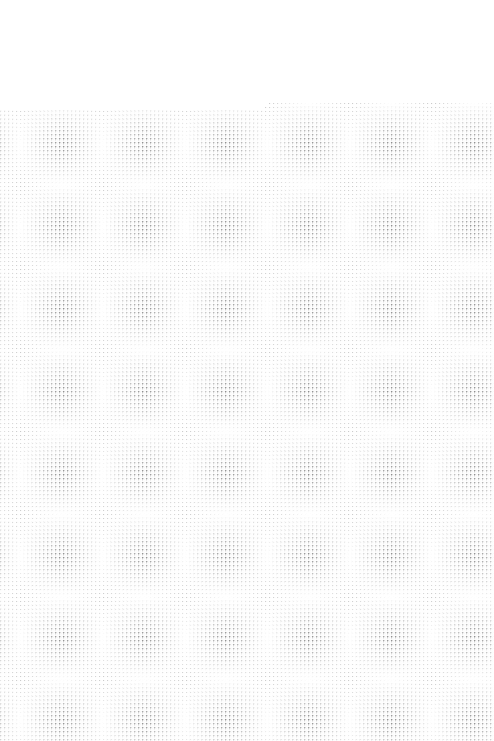  Flip-flops model 213399 PRIMO 