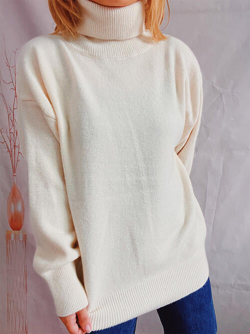 Turtleneck Long Sleeve Sweater